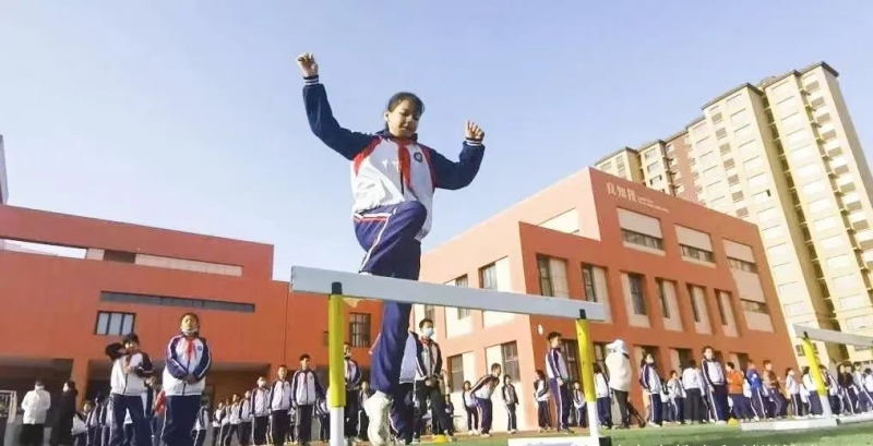 给国王队的